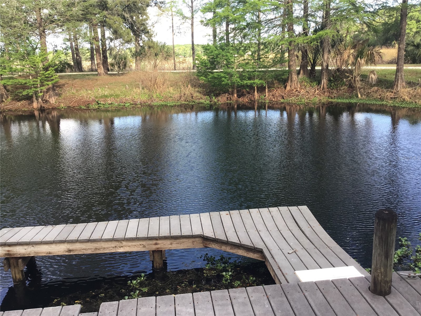 12451 SE 115th Avenue Belleview FL 34420 - LAKE BOWER OM721244 image18