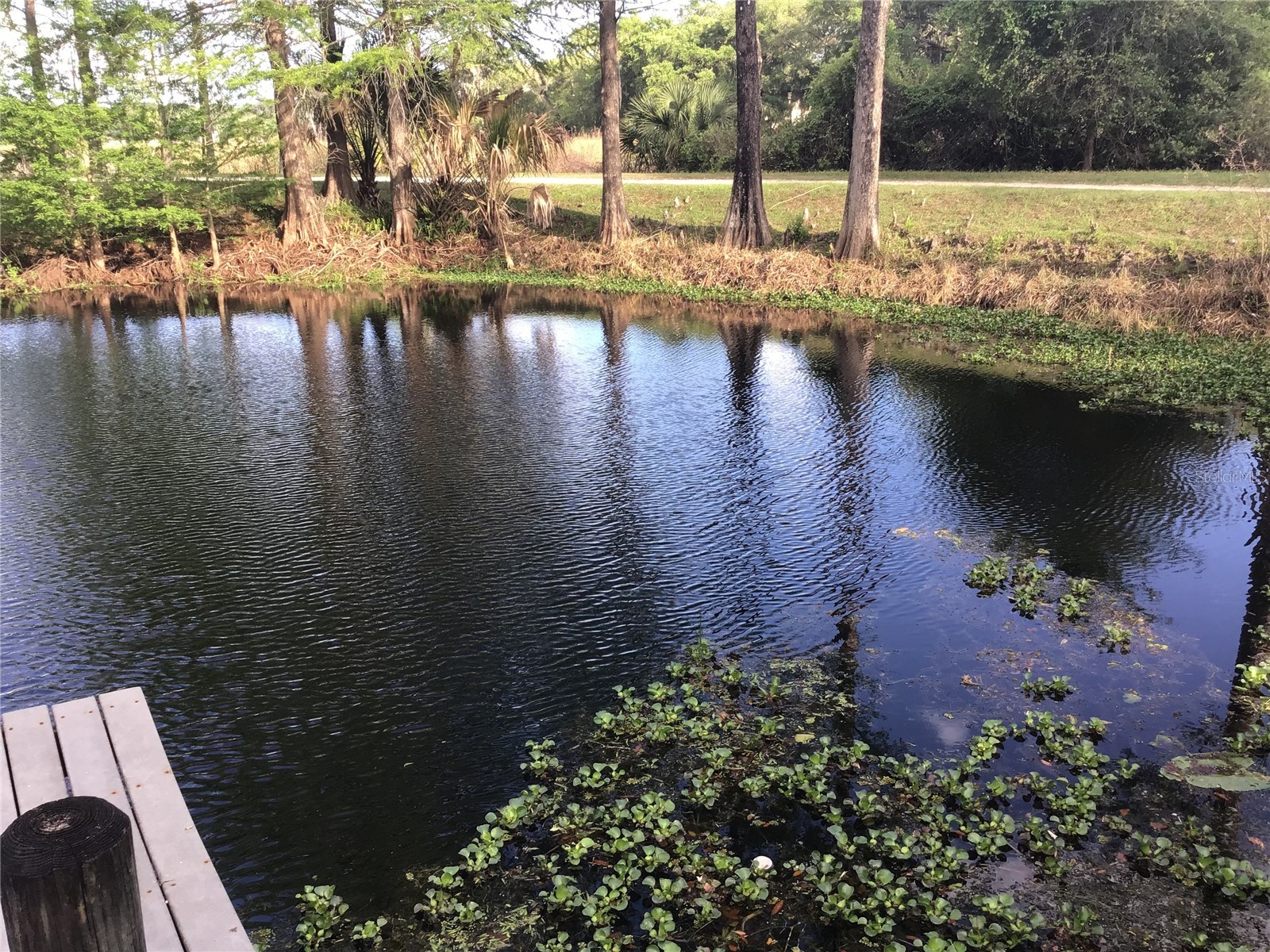 12451 SE 115th Avenue Belleview FL 34420 - LAKE BOWER OM721244 image19