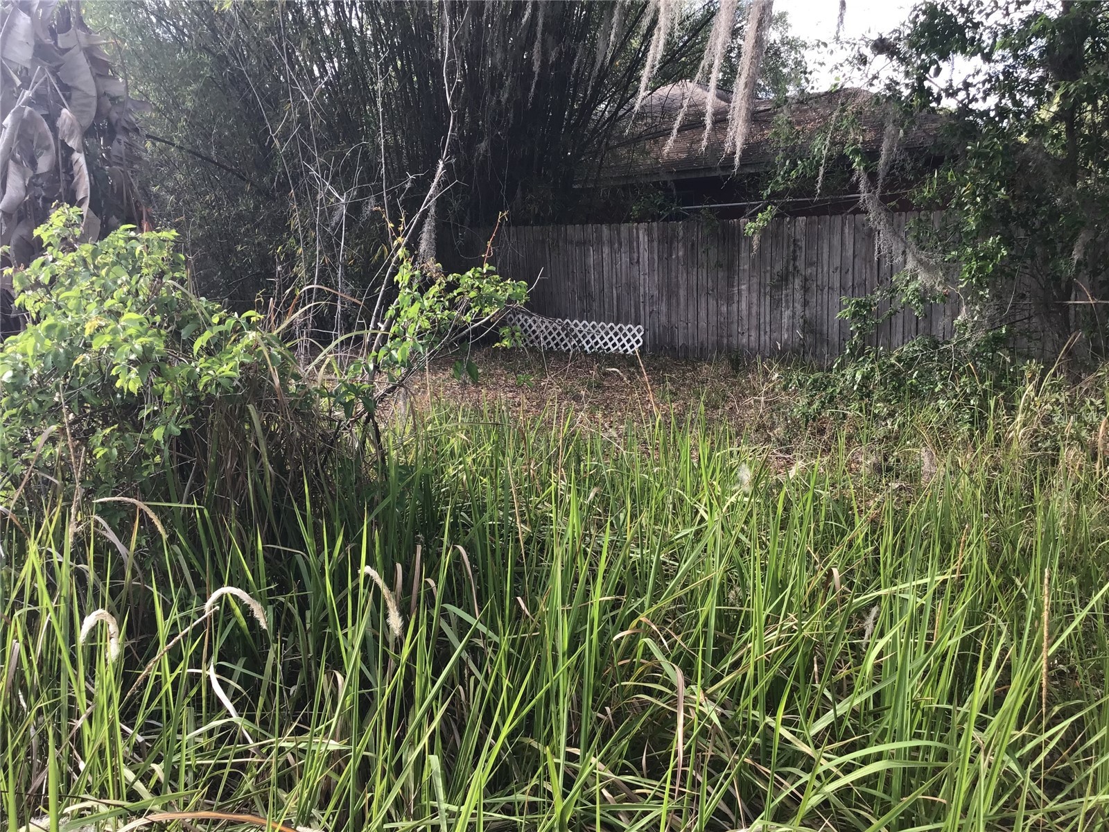12451 SE 115th Avenue Belleview FL 34420 - LAKE BOWER OM721244 image2