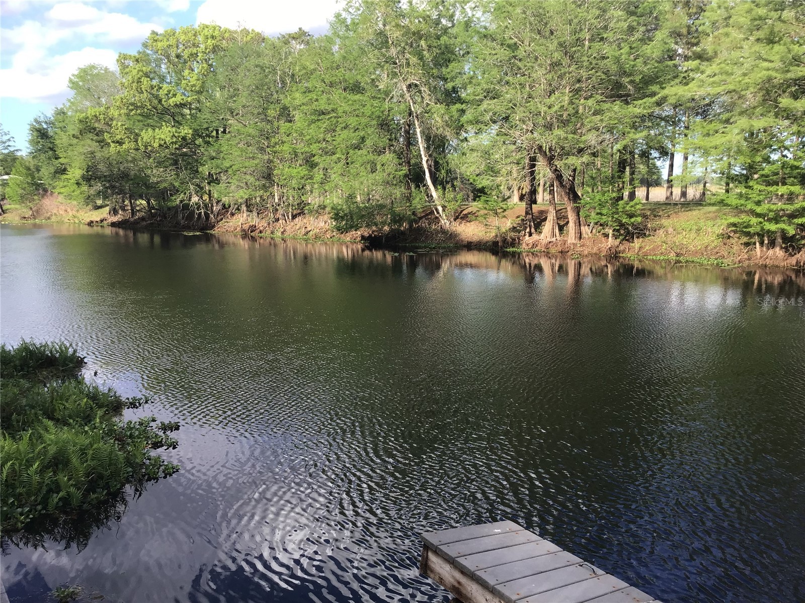 12451 SE 115th Avenue Belleview FL 34420 - LAKE BOWER OM721244 image20