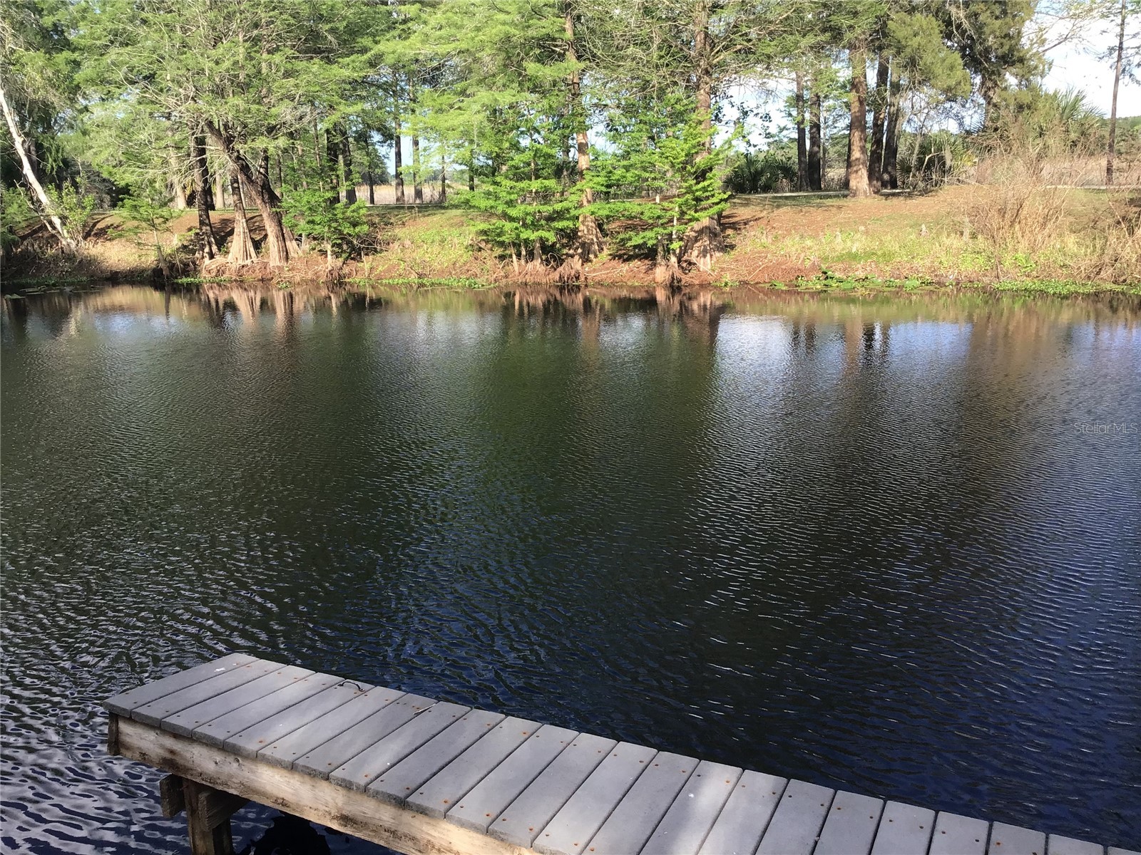 12451 SE 115th Avenue Belleview FL 34420 - LAKE BOWER OM721244 image24