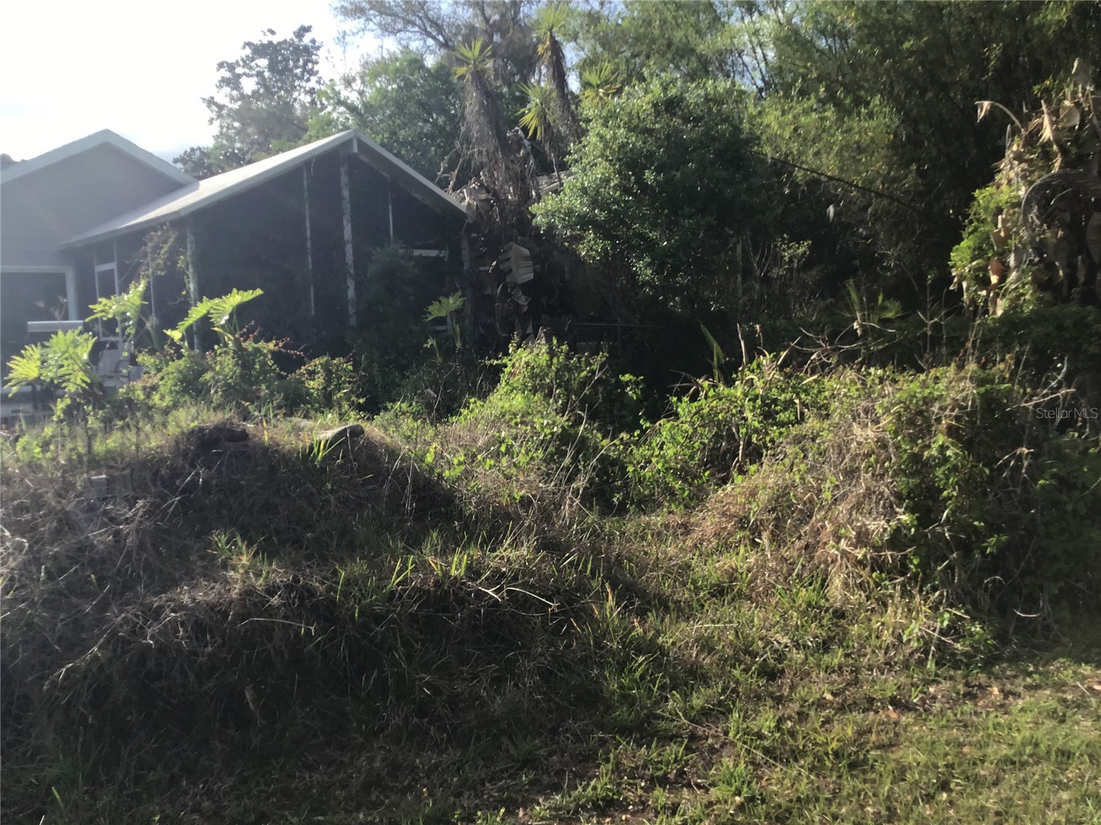 12451 SE 115th Avenue Belleview FL 34420 - LAKE BOWER OM721244 image3