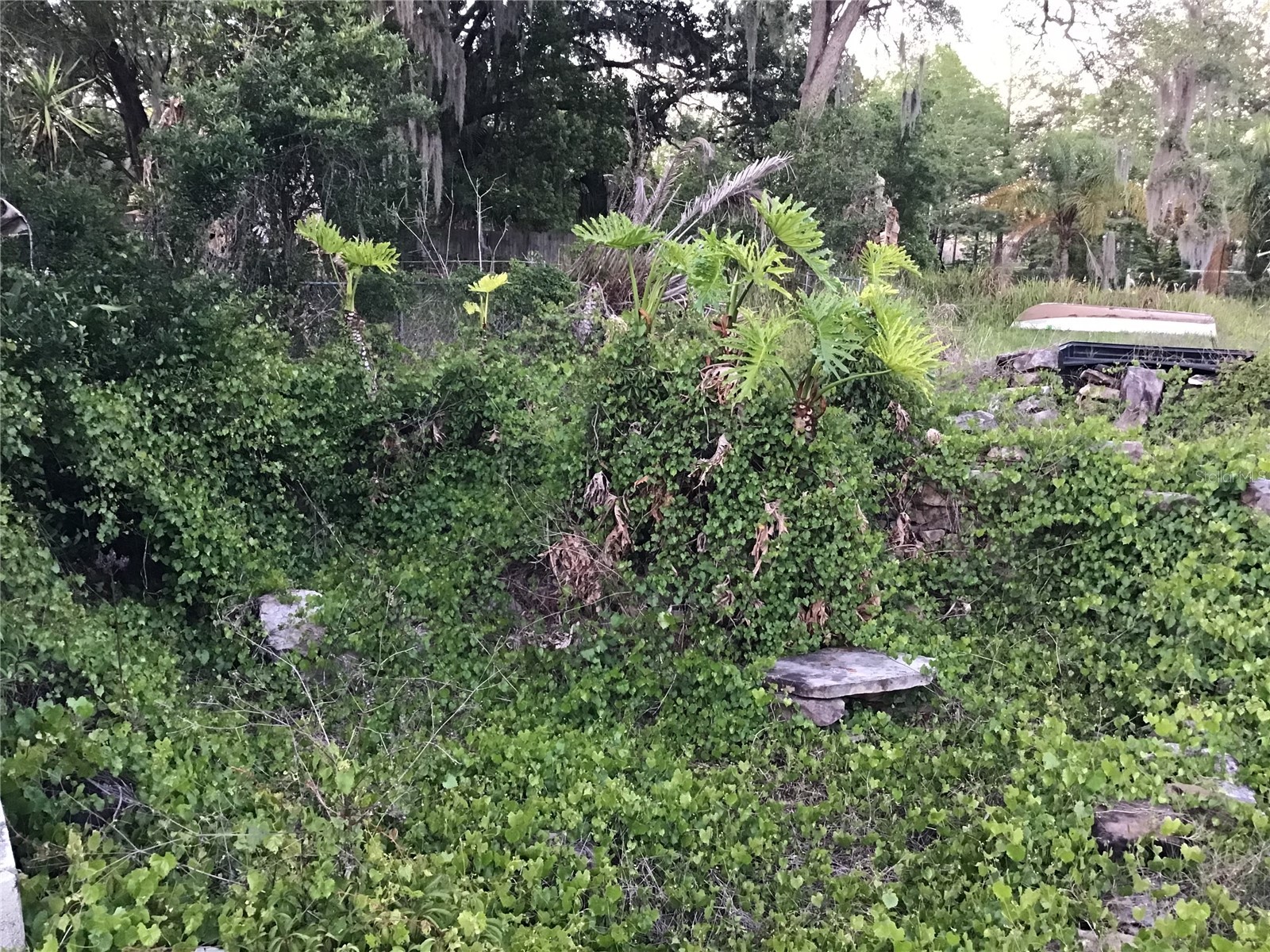 12451 SE 115th Avenue Belleview FL 34420 - LAKE BOWER OM721244 image47