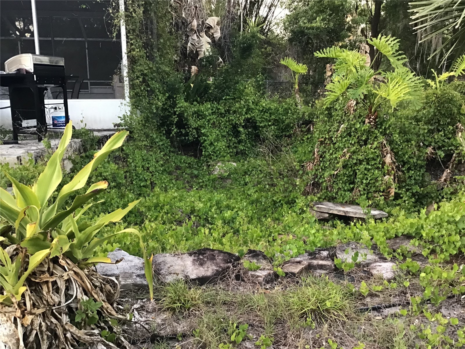 12451 SE 115th Avenue Belleview FL 34420 - LAKE BOWER OM721244 image48