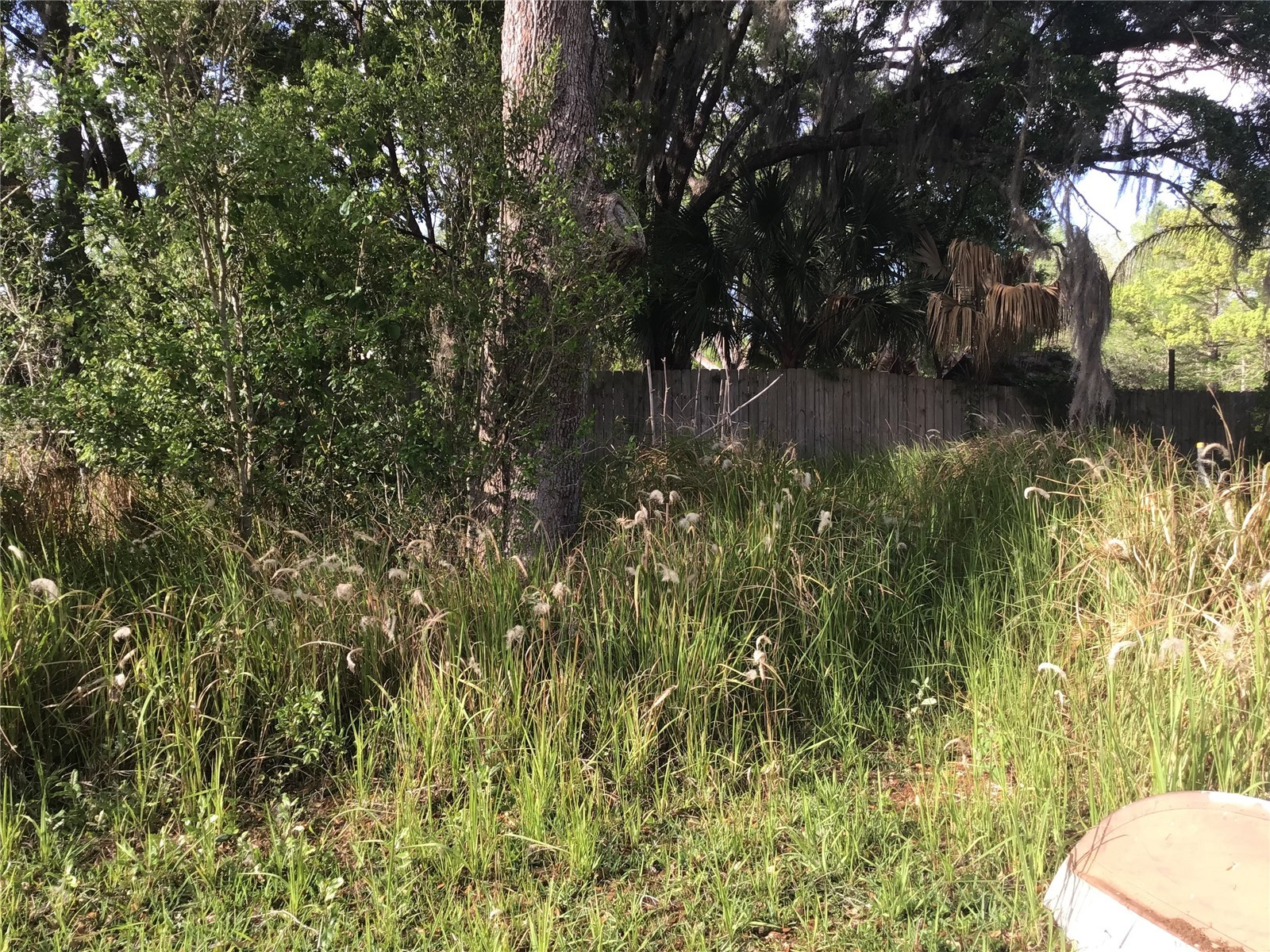 12451 SE 115th Avenue Belleview FL 34420 - LAKE BOWER OM721244 image7