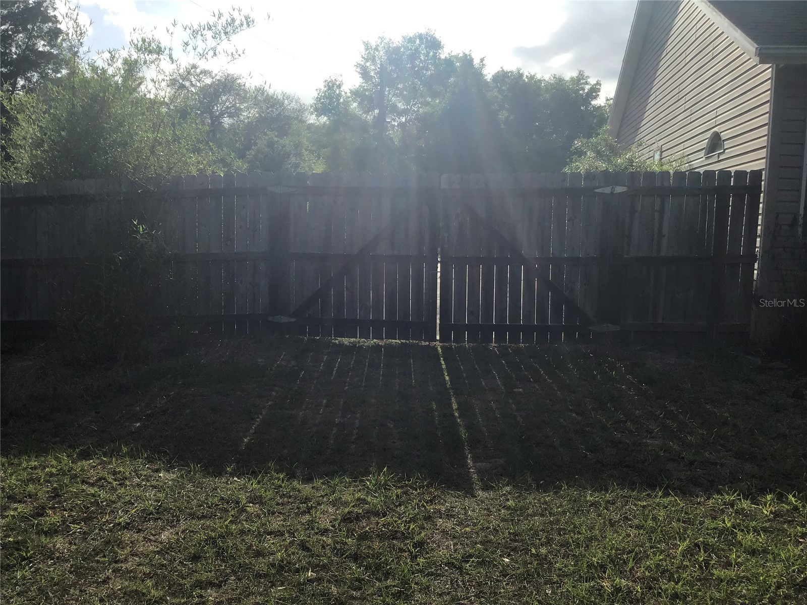 12451 SE 115th Avenue Belleview FL 34420 - LAKE BOWER OM721244 image8