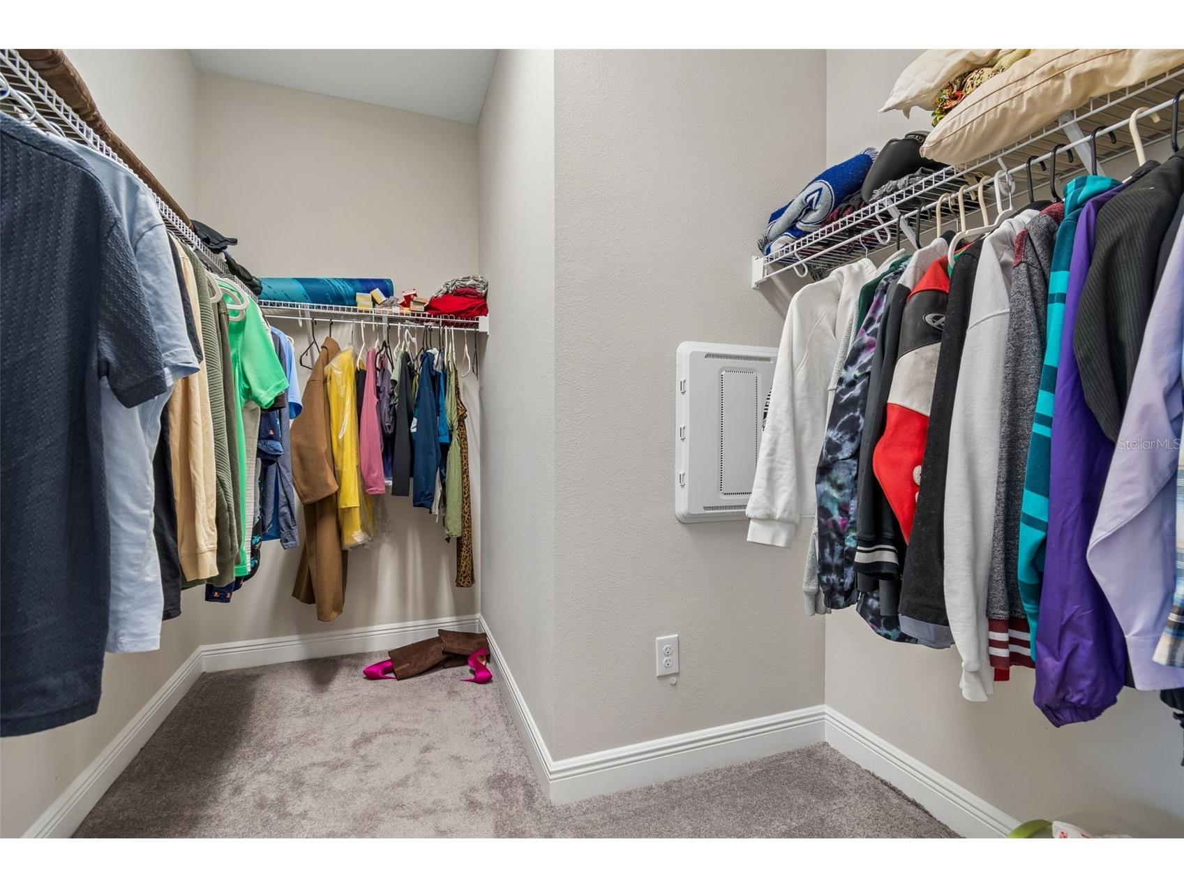 12453 Horseshoe Bend Drive Lithia FL 33547 TB8482104 image23