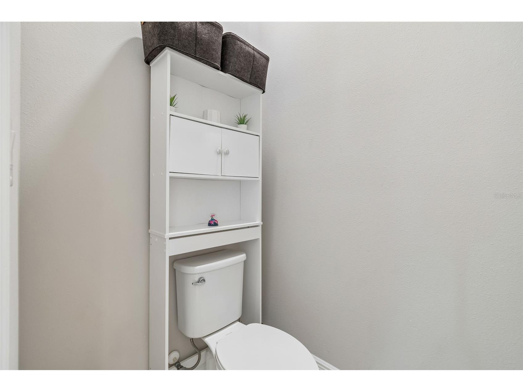12453 Horseshoe Bend Drive Lithia FL 33547 TB8482104 image29