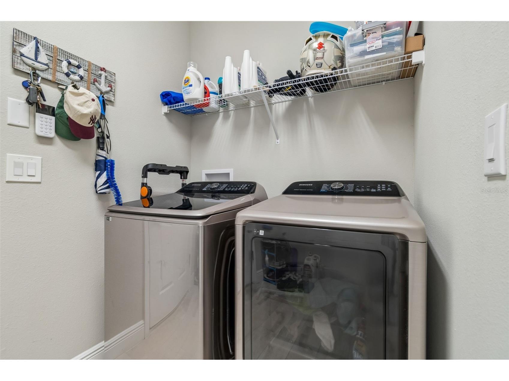 12453 Horseshoe Bend Drive Lithia FL 33547 TB8482104 image38
