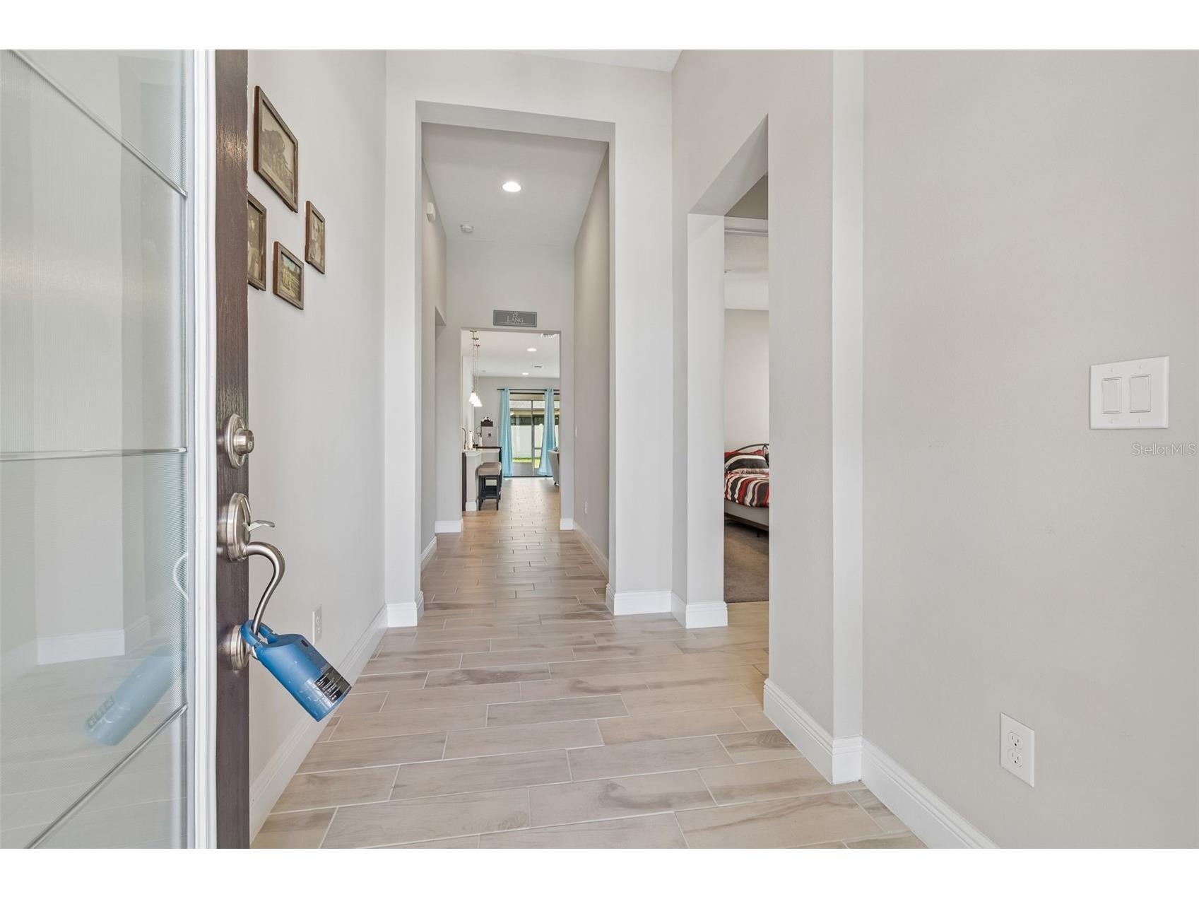 12453 Horseshoe Bend Drive Lithia FL 33547 TB8482104 image5
