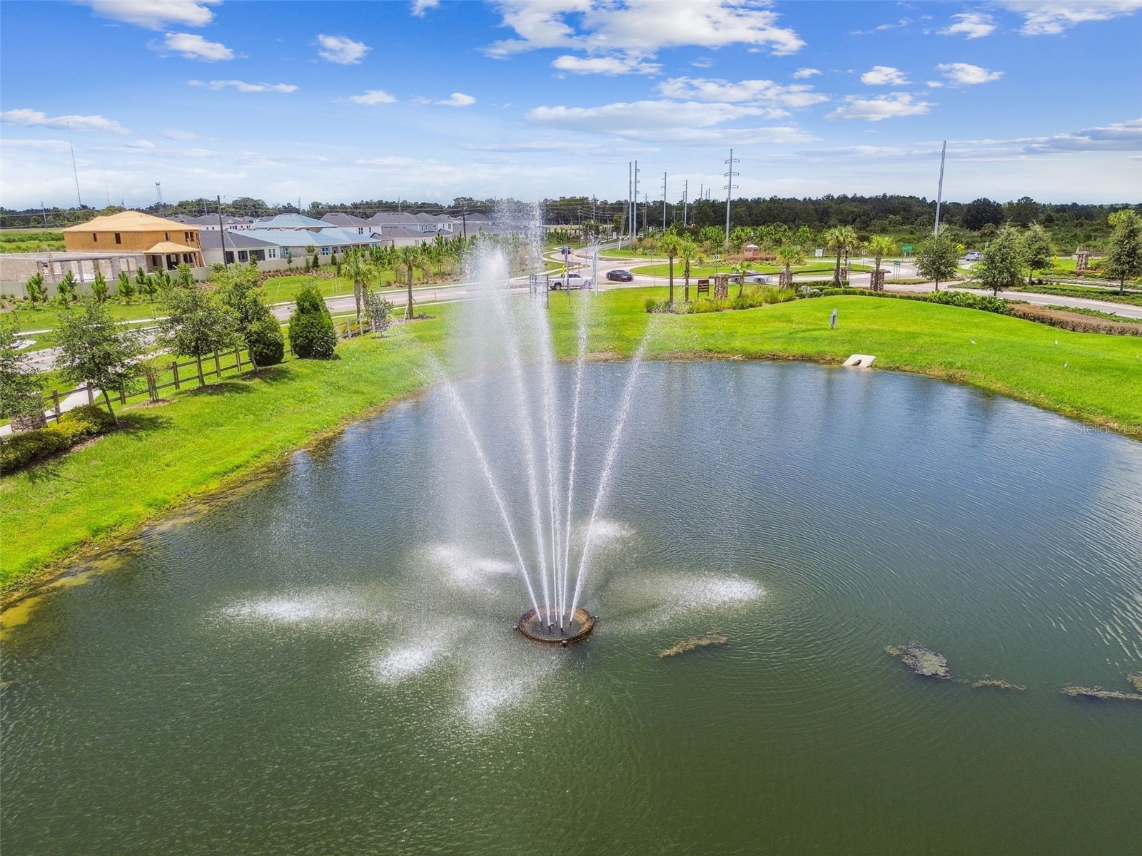 12453 Horseshoe Bend Drive Lithia FL 33547 TB8482104 image73