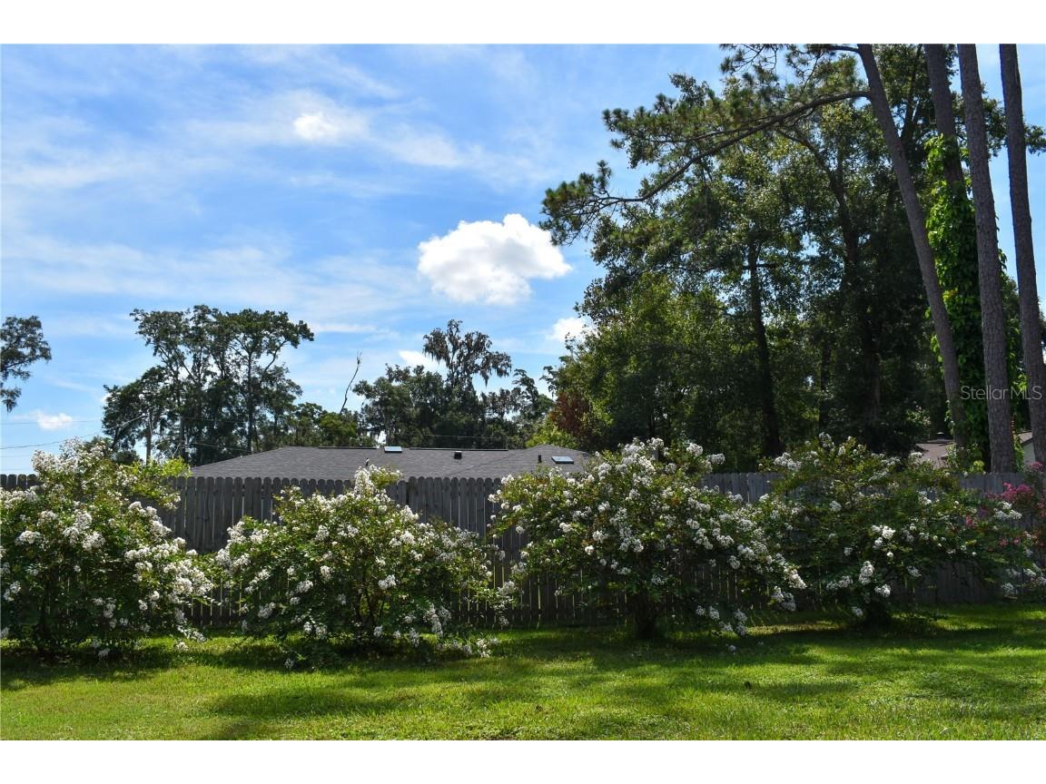 12453 SE 61st Court Belleview FL 34420 OM696904 image25