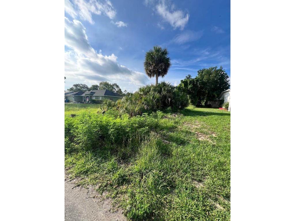 12454 Montego Street Spring Hill FL 34609 TB8405512 image2