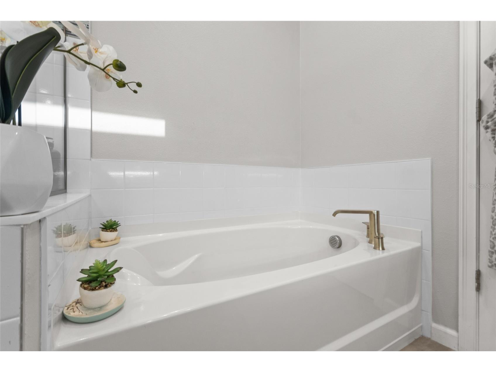 12458 Somatic Court Venice FL 34293 N6144638 image27