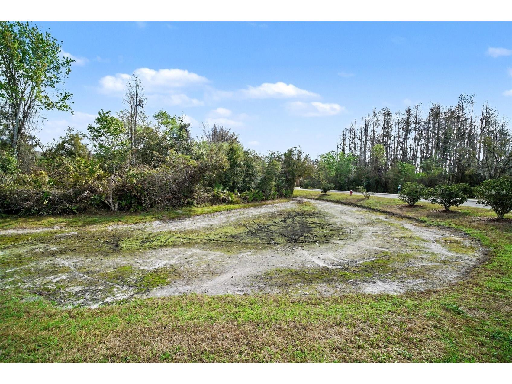 1246 Charlesworth Drive Wesley Chapel FL 33543 TB8484225 image28