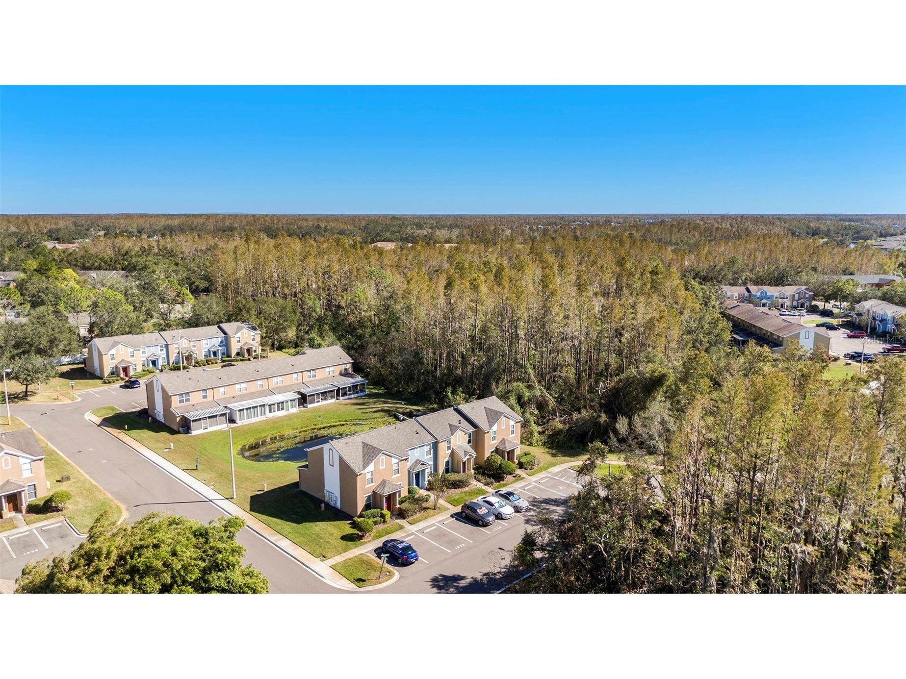 1246 Charlesworth Drive Wesley Chapel FL 33543 TB8484225 image29