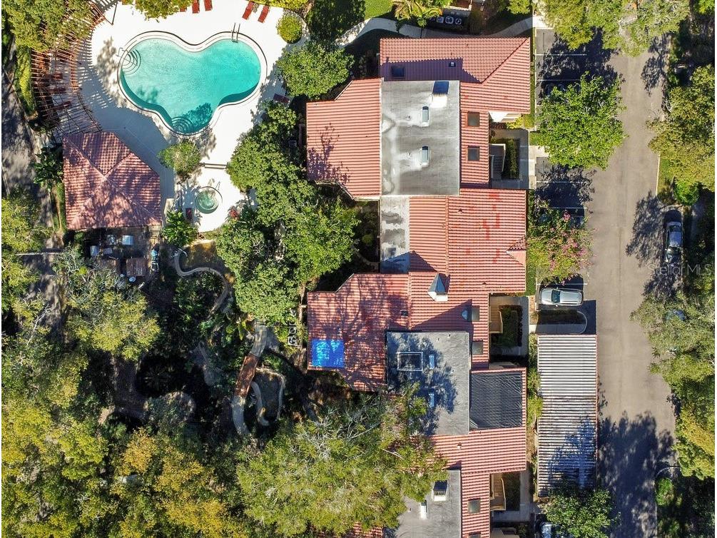 1246 Saint Tropez Circle #GE Orlando FL 32806 O6331637 image30