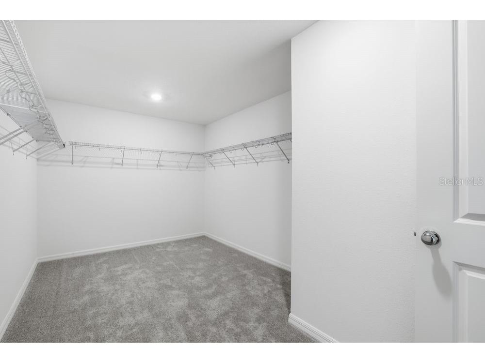 12462 Whisk Court Hudson FL 34669 TB8423509 image18