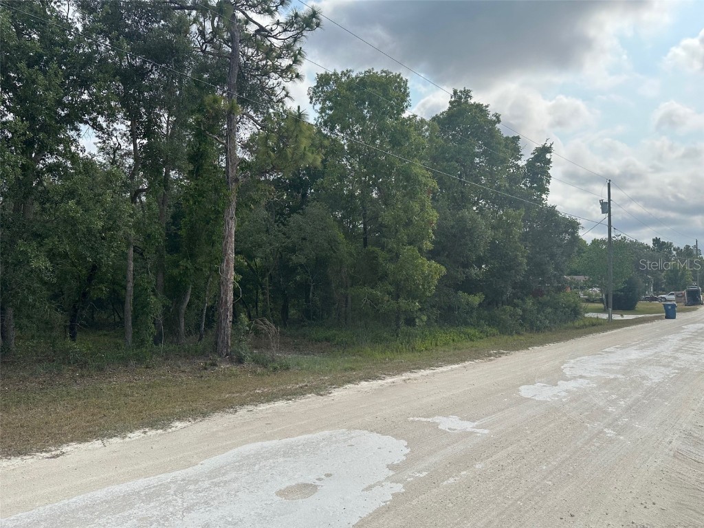 12463 Rock Duck Avenue Weeki Wachee FL 34614 U8242665 image1