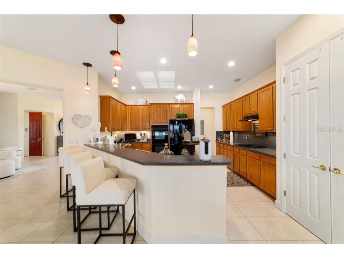 12463 SE 93rd Court Road Summerfield FL 34491 G5105381 image30