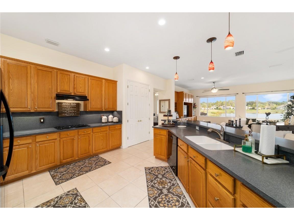 12463 SE 93rd Court Road Summerfield FL 34491 G5105381 image38