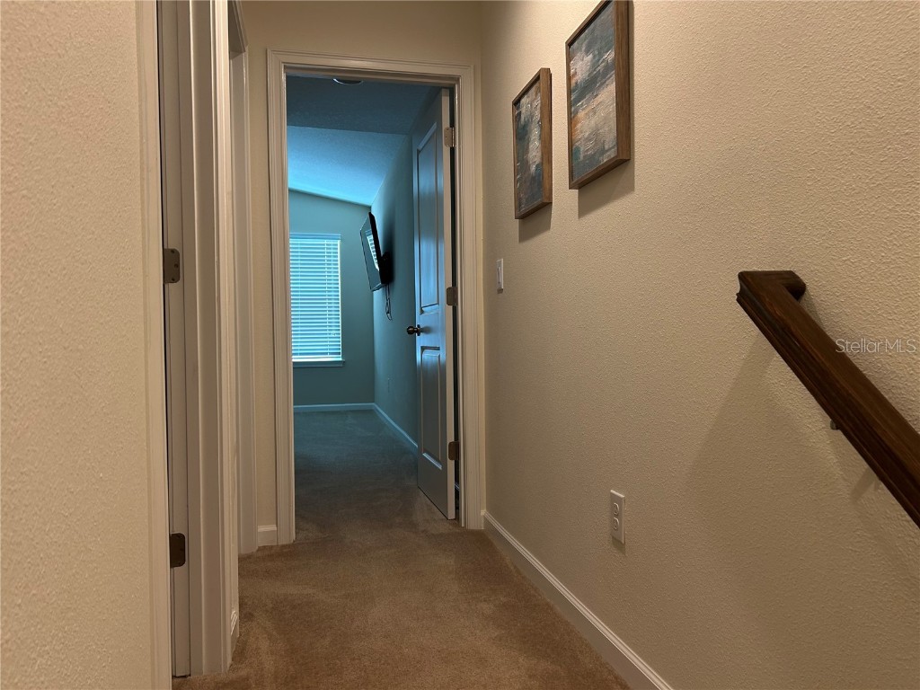 12463 Trailhead Drive Bradenton FL 34211 A4650391 image18