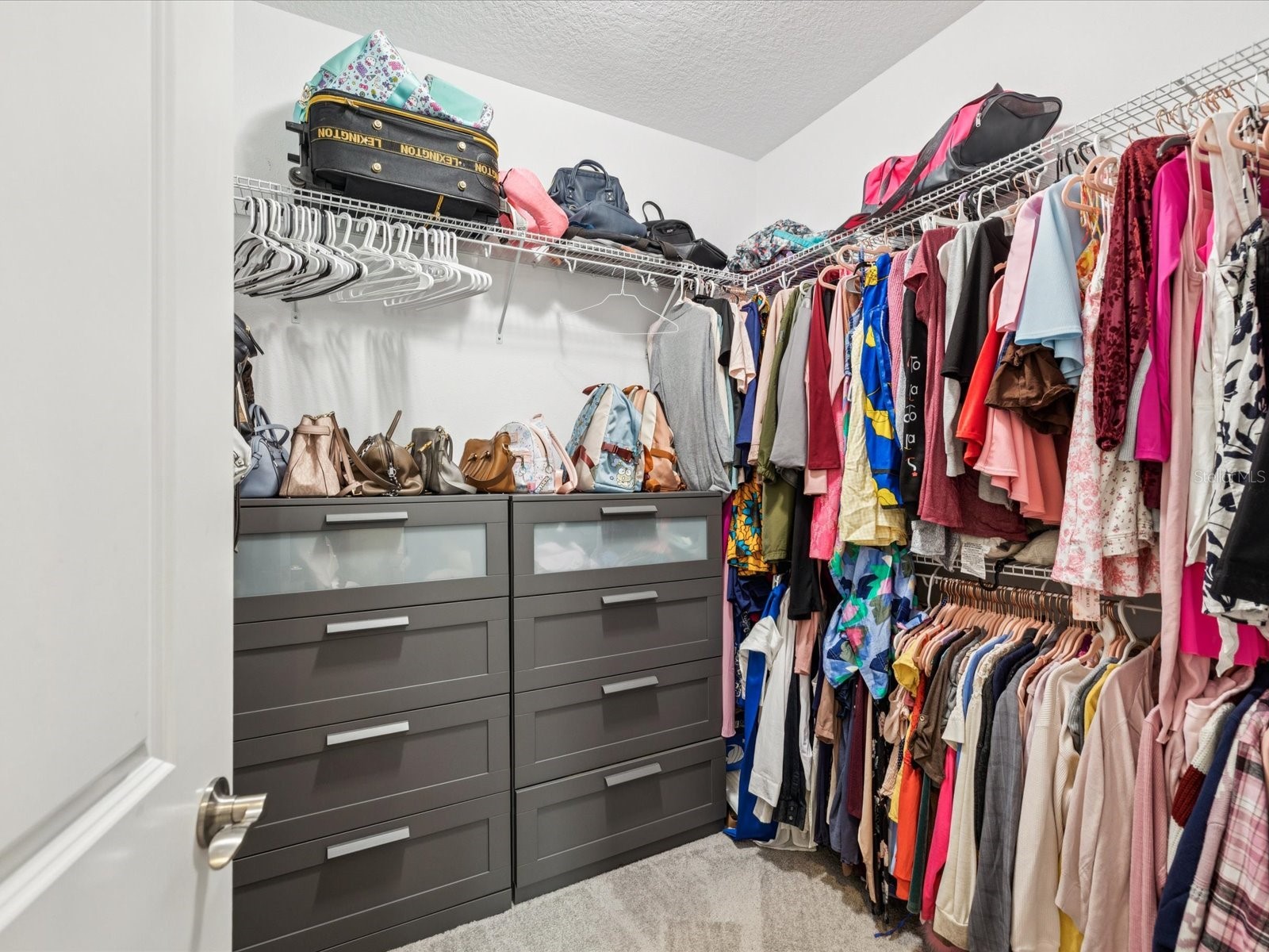 12466 Rosepine Place Riverview FL 33579 TB8408023 image13