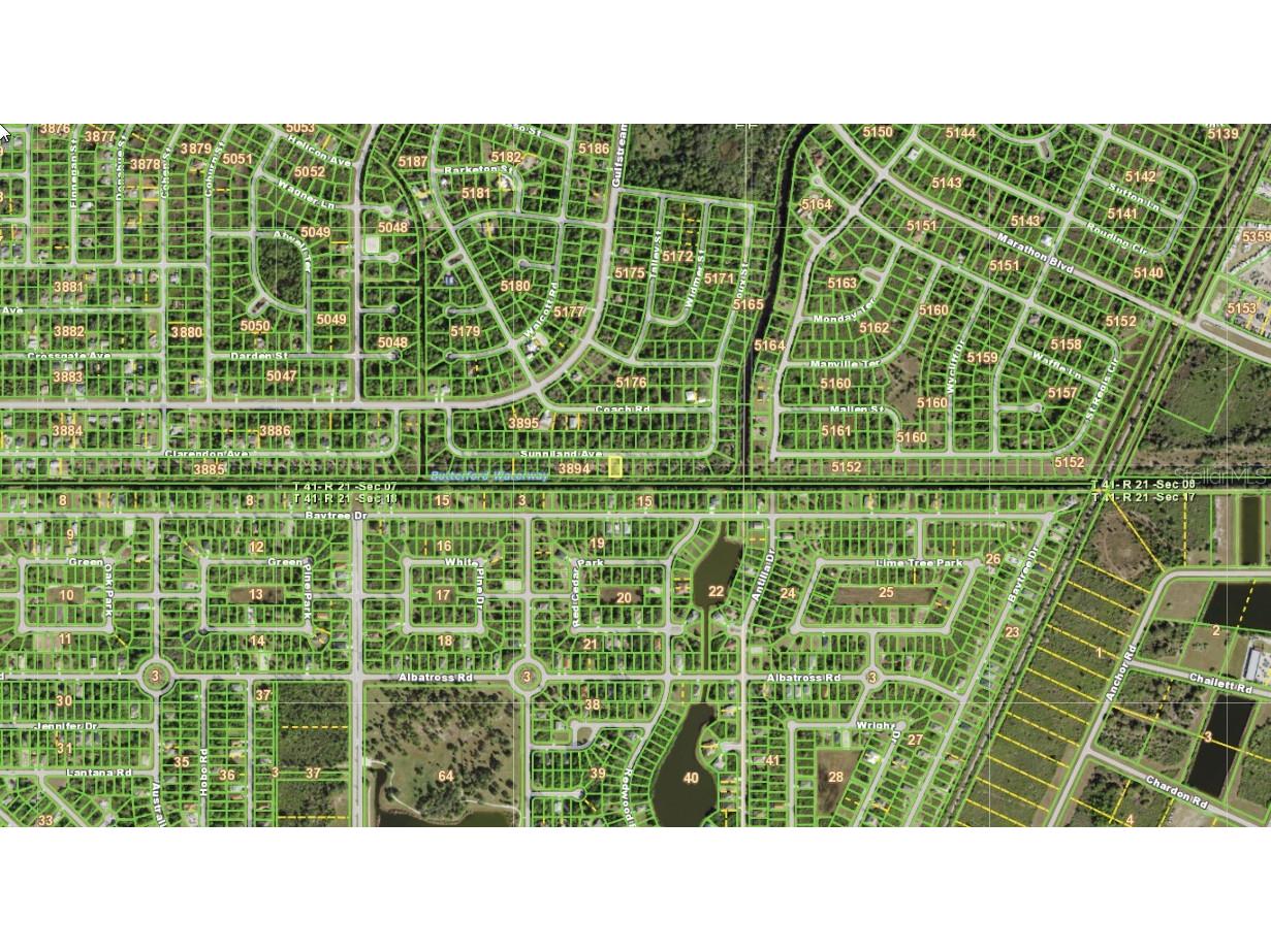 12467 Sunniland Avenue Port Charlotte FL 33981 - BUTTERFROD WATERWAY C7503413 image5