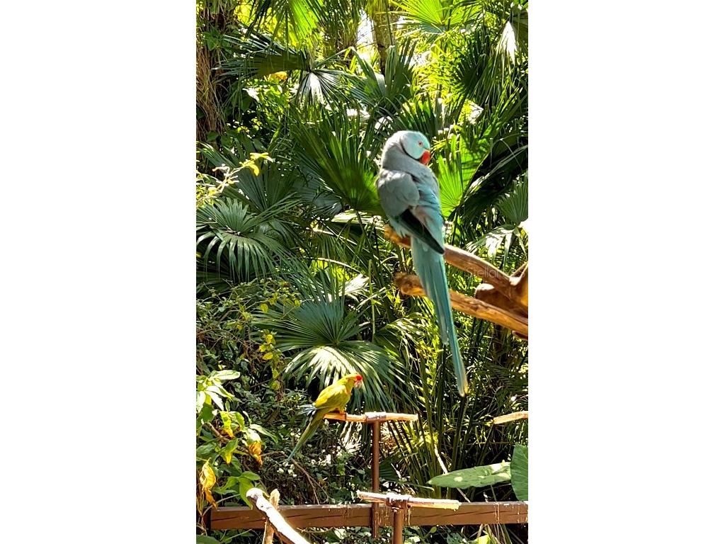 12468 Koenig Lane Port Charlotte FL 33953 A4614612 image12