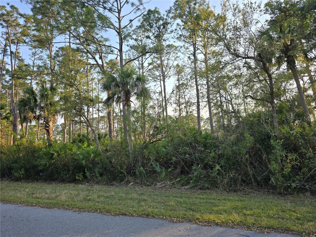 12469 Harlow Avenue Port Charlotte FL 33953 C7506800 image1