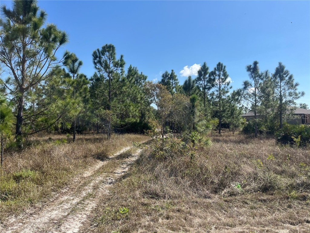 1247 Brunell Avenue Fort Myers FL 33913 OK224816 image4