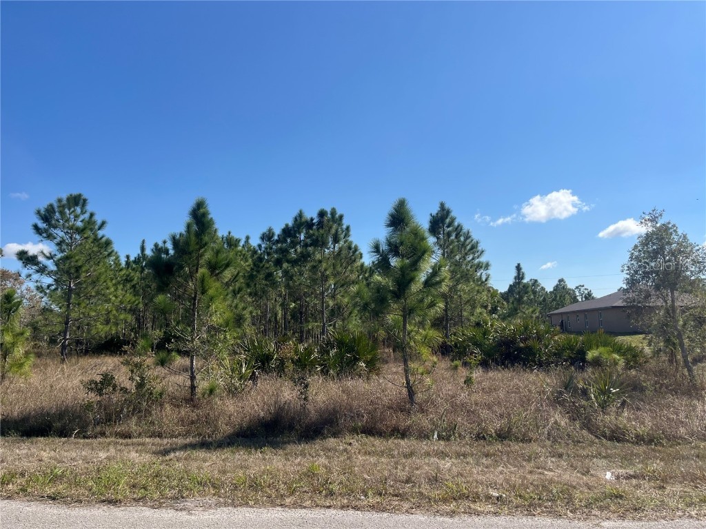 1247 Brunell Avenue Fort Myers FL 33913 OK224816 image5