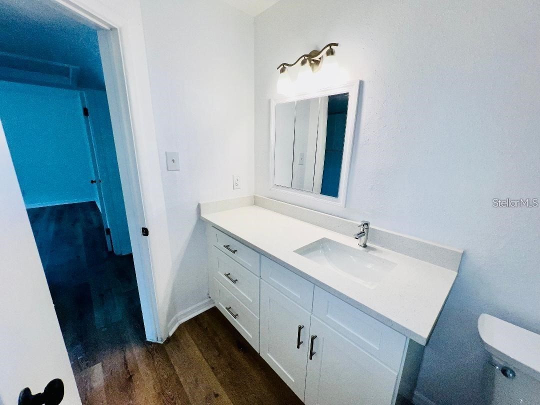 1247 Davis Road Dunedin FL 34698 TB8488776 image12