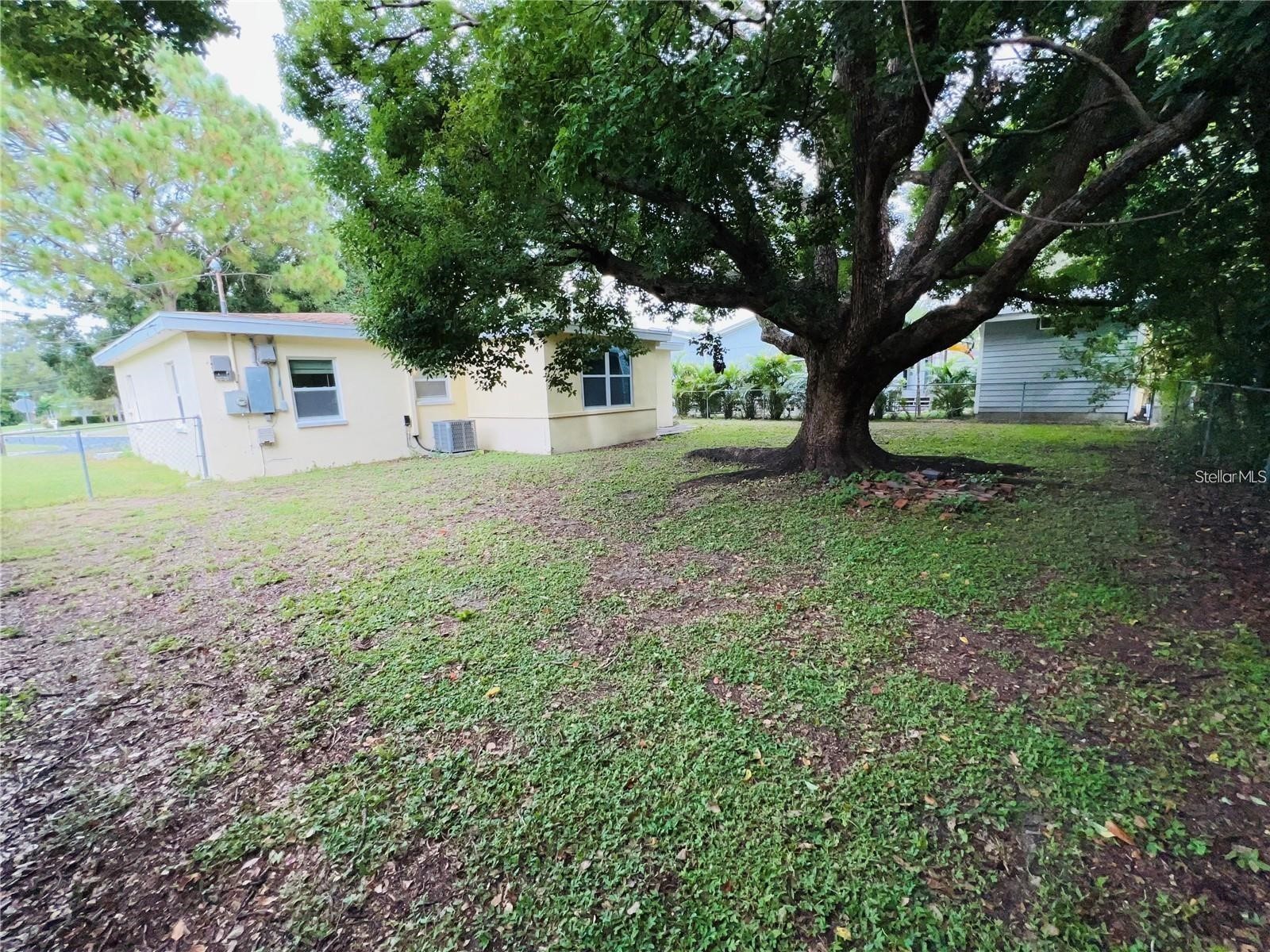 1247 Davis Road Dunedin FL 34698 TB8488776 image16