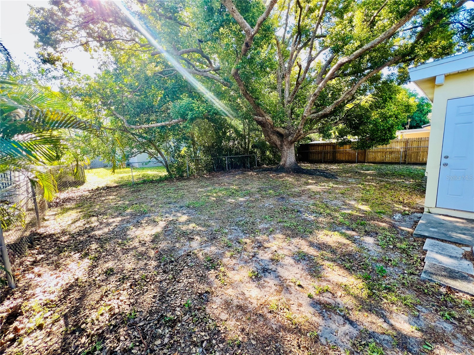 1247 Davis Road Dunedin FL 34698 TB8488776 image17