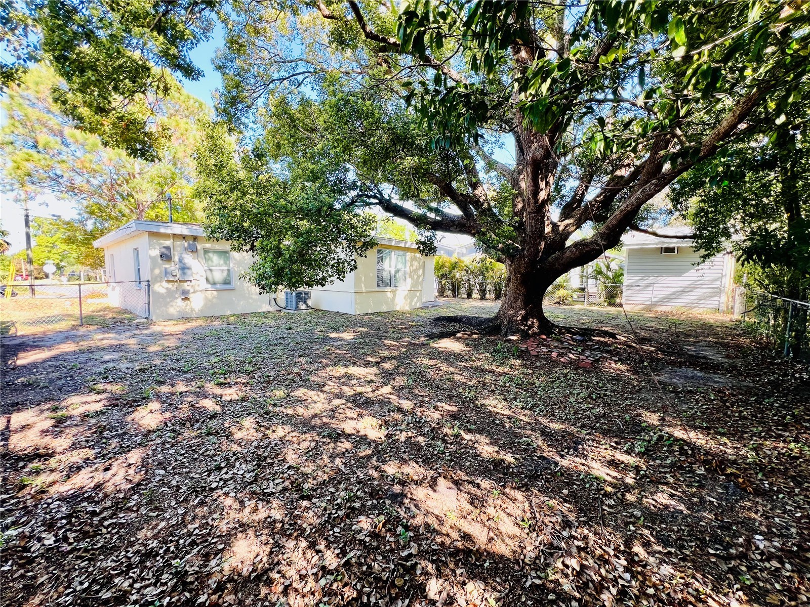 1247 Davis Road Dunedin FL 34698 TB8488776 image19