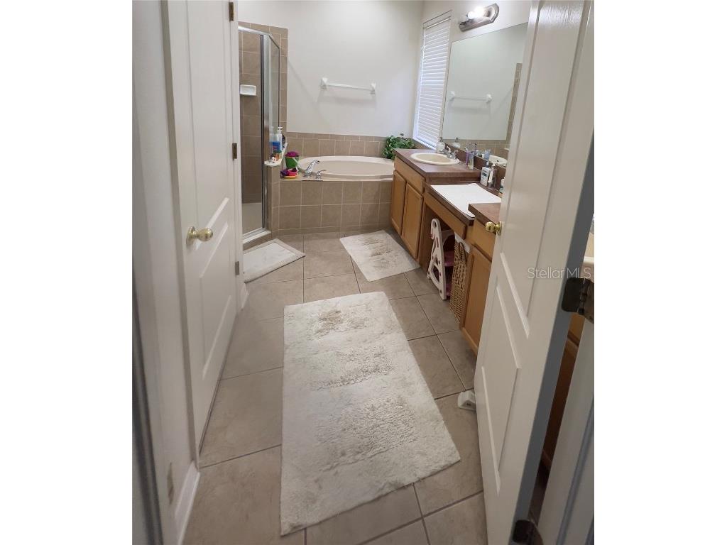 1247 Gentilly Lane Wesley Chapel FL 33544 TB8396890 image17