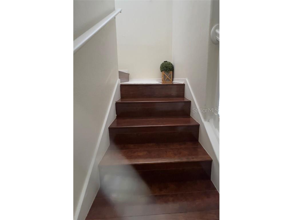 1247 Gentilly Lane Wesley Chapel FL 33544 TB8396890 image19