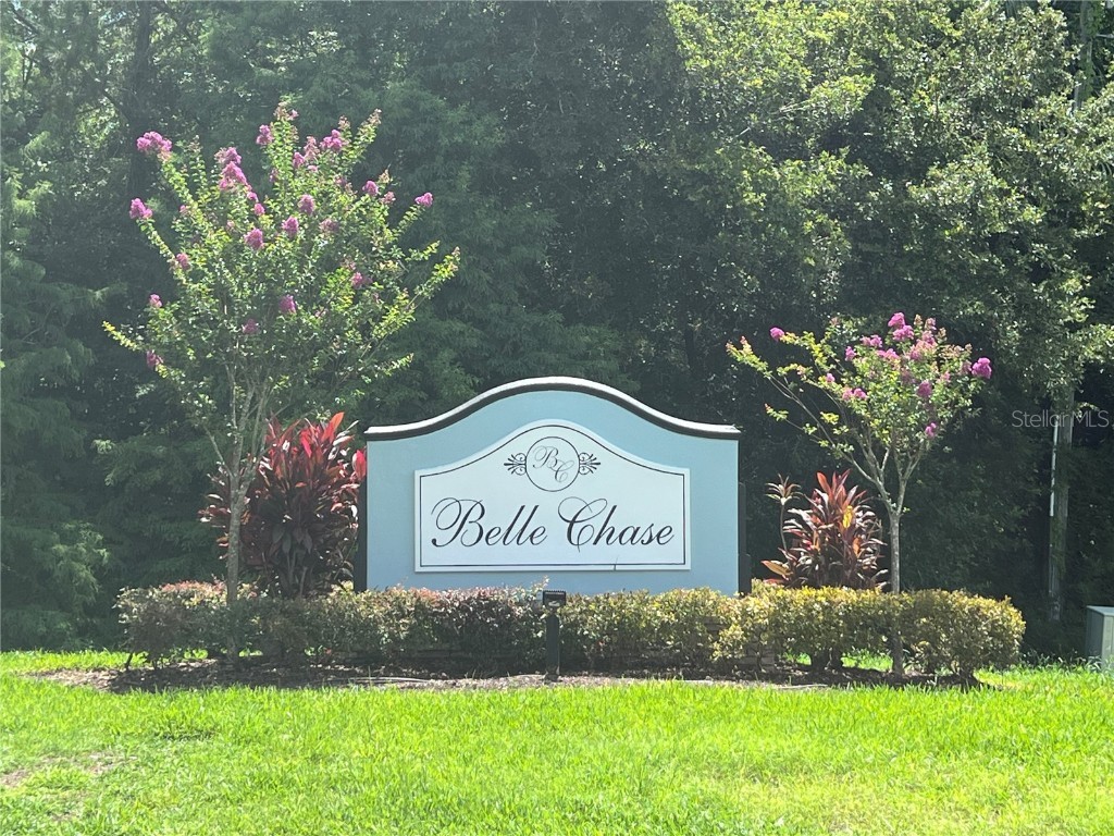 1247 Gentilly Lane Wesley Chapel FL 33544 TB8396890 image3