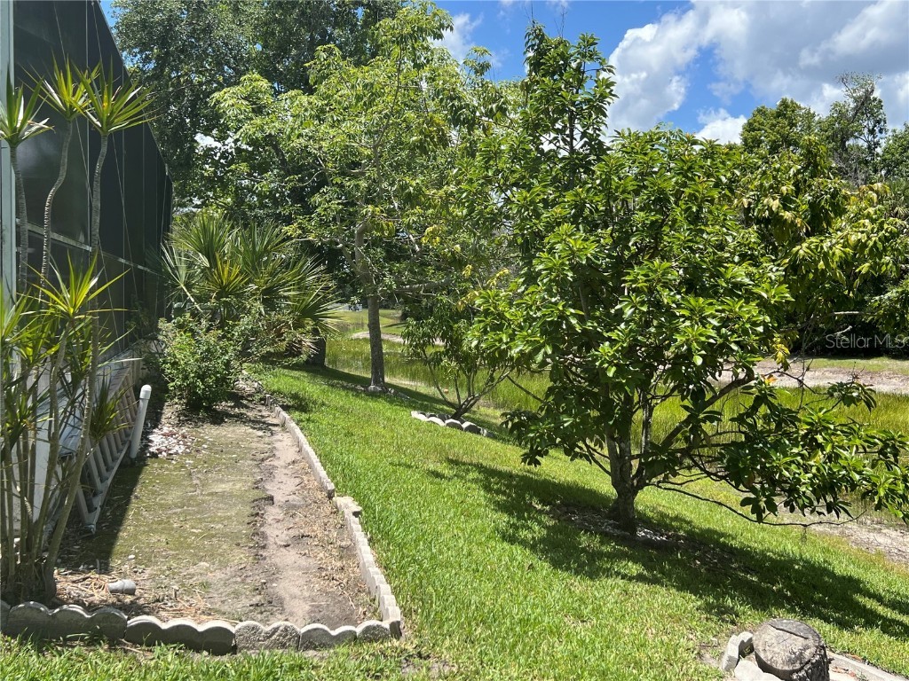 1247 Gentilly Lane Wesley Chapel FL 33544 TB8396890 image41