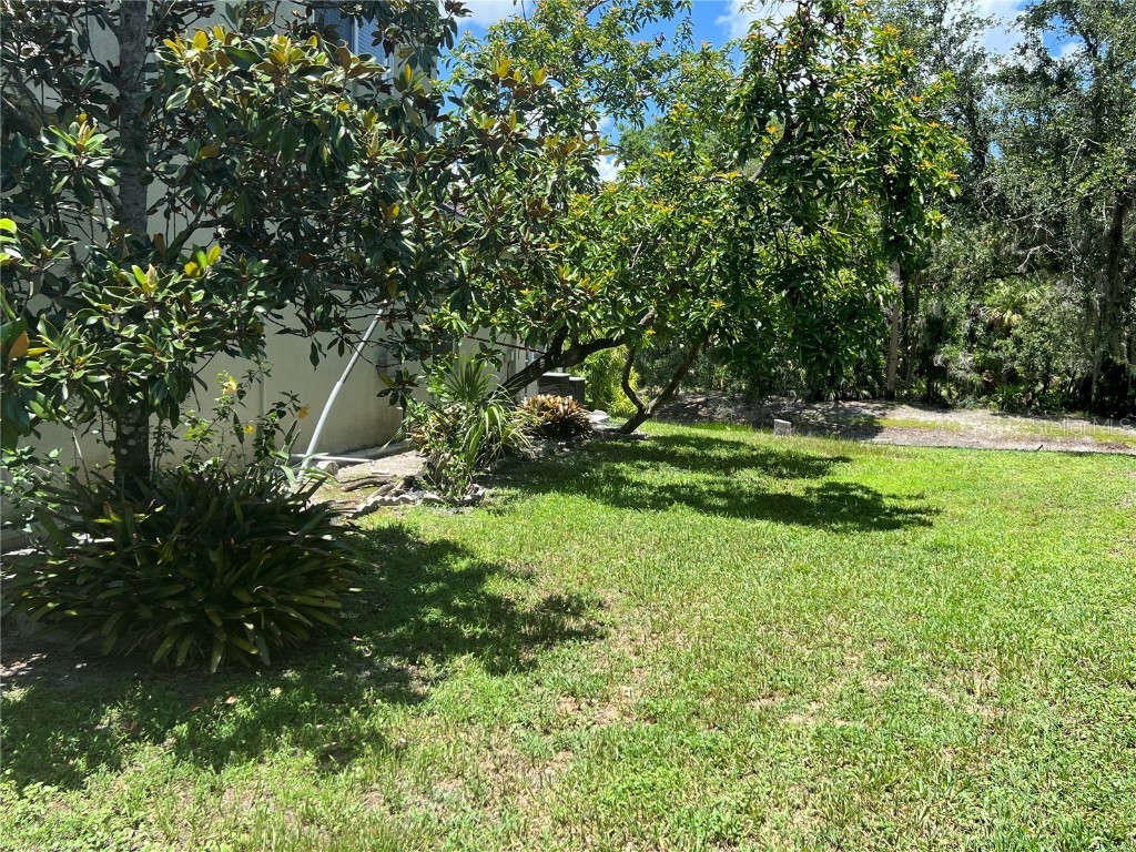 1247 Gentilly Lane Wesley Chapel FL 33544 TB8396890 image42