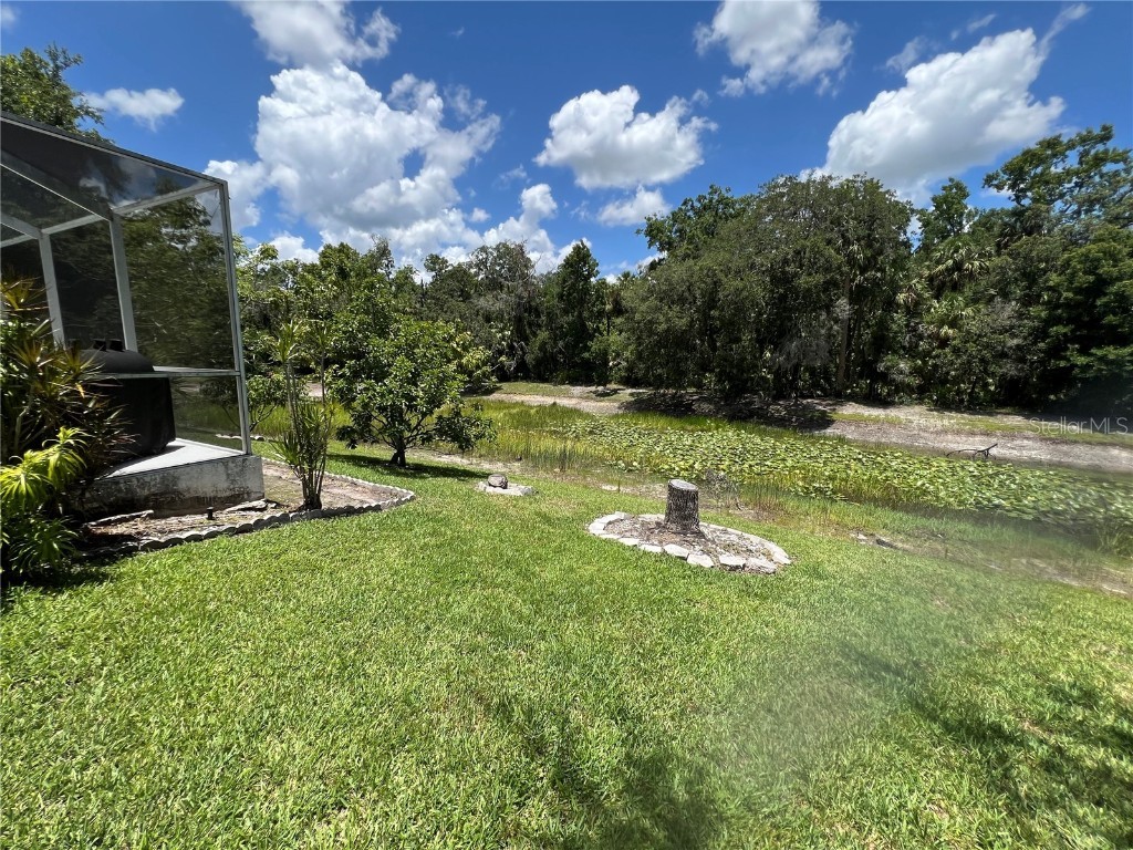 1247 Gentilly Lane Wesley Chapel FL 33544 TB8396890 image45