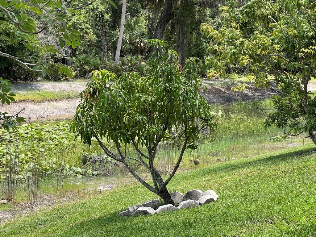 1247 Gentilly Lane Wesley Chapel FL 33544 TB8396890 image47