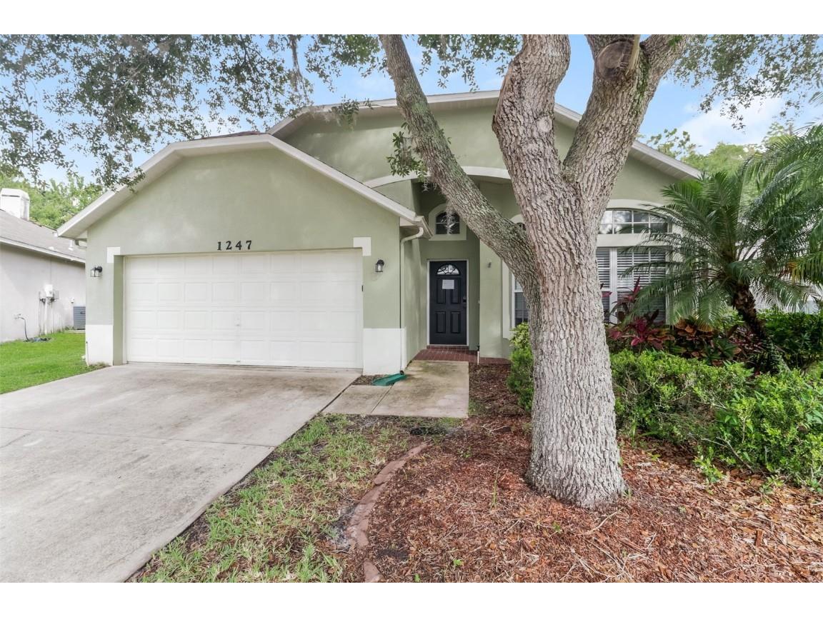 1247 Horsemint Lane Wesley Chapel FL 33543 O6154124 image1