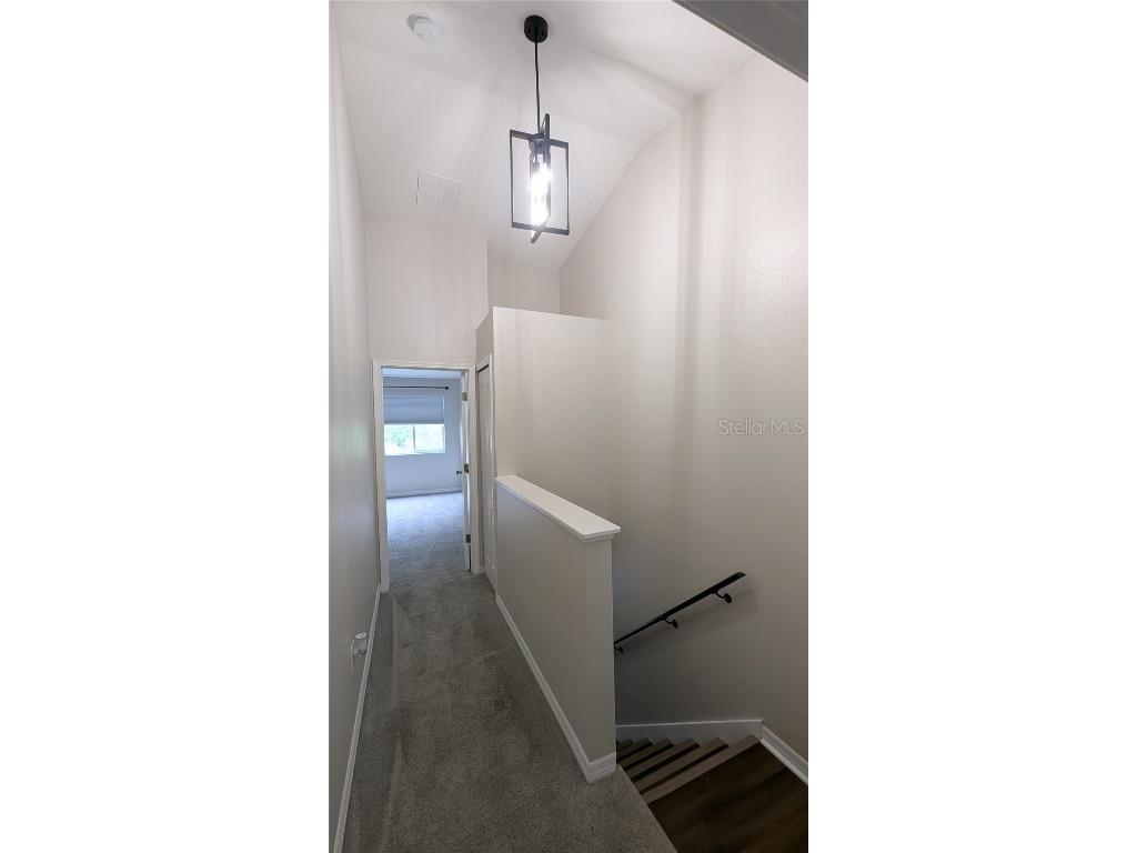 1247 Kennewick Court Wesley Chapel FL 33543 TB8449286 image11