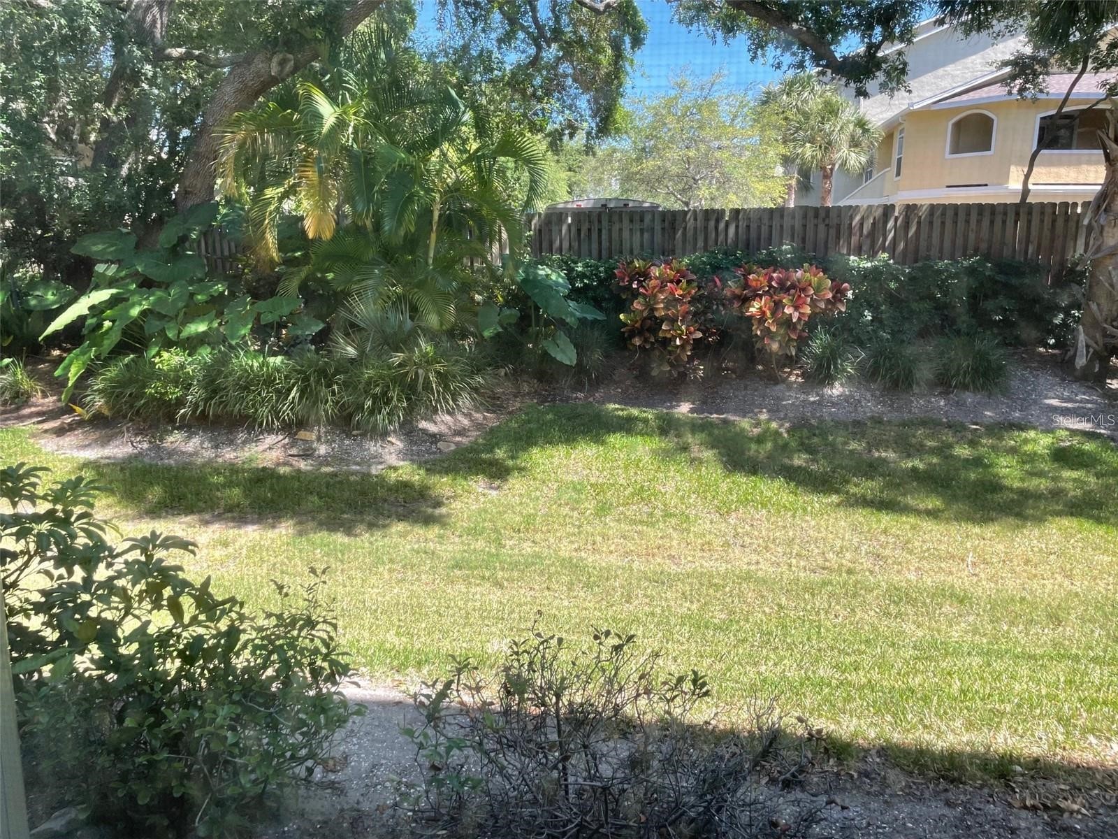 1247 S Martin Luther King Jr Avenue #D103 Clearwater FL 33756 TB8507098 image32