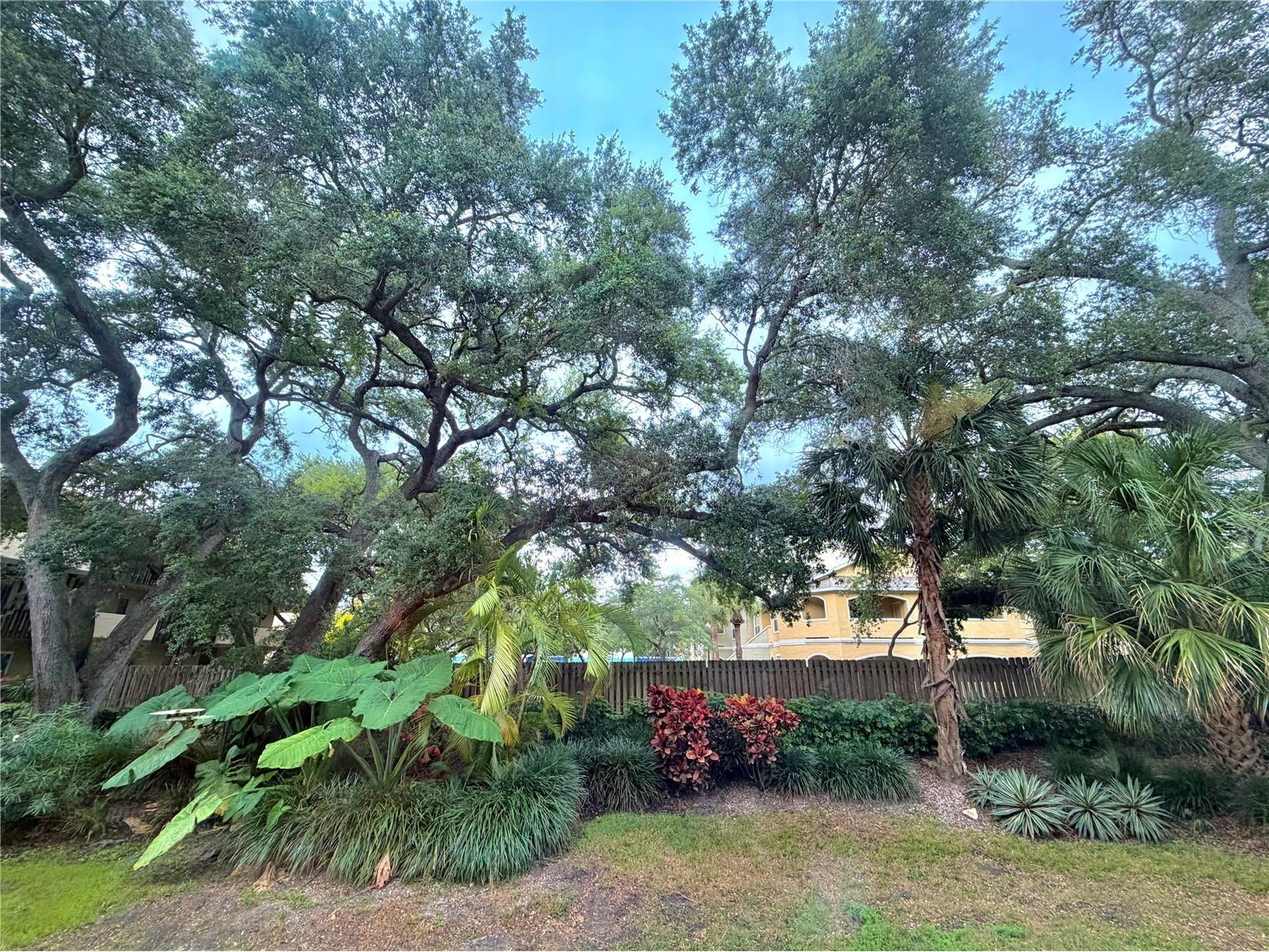 1247 S Martin Luther King Junior Avenue #D103 Clearwater FL 33756 TB8526880 image8