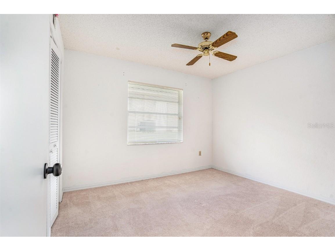 1247 Venetia Drive Spring Hill FL 34608 TB8433744 image10