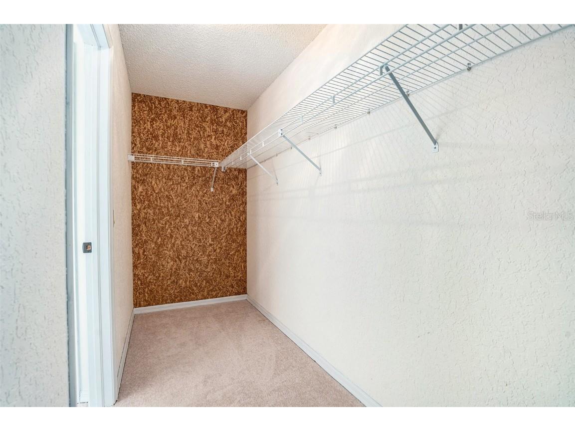 1247 Venetia Drive Spring Hill FL 34608 TB8433744 image13