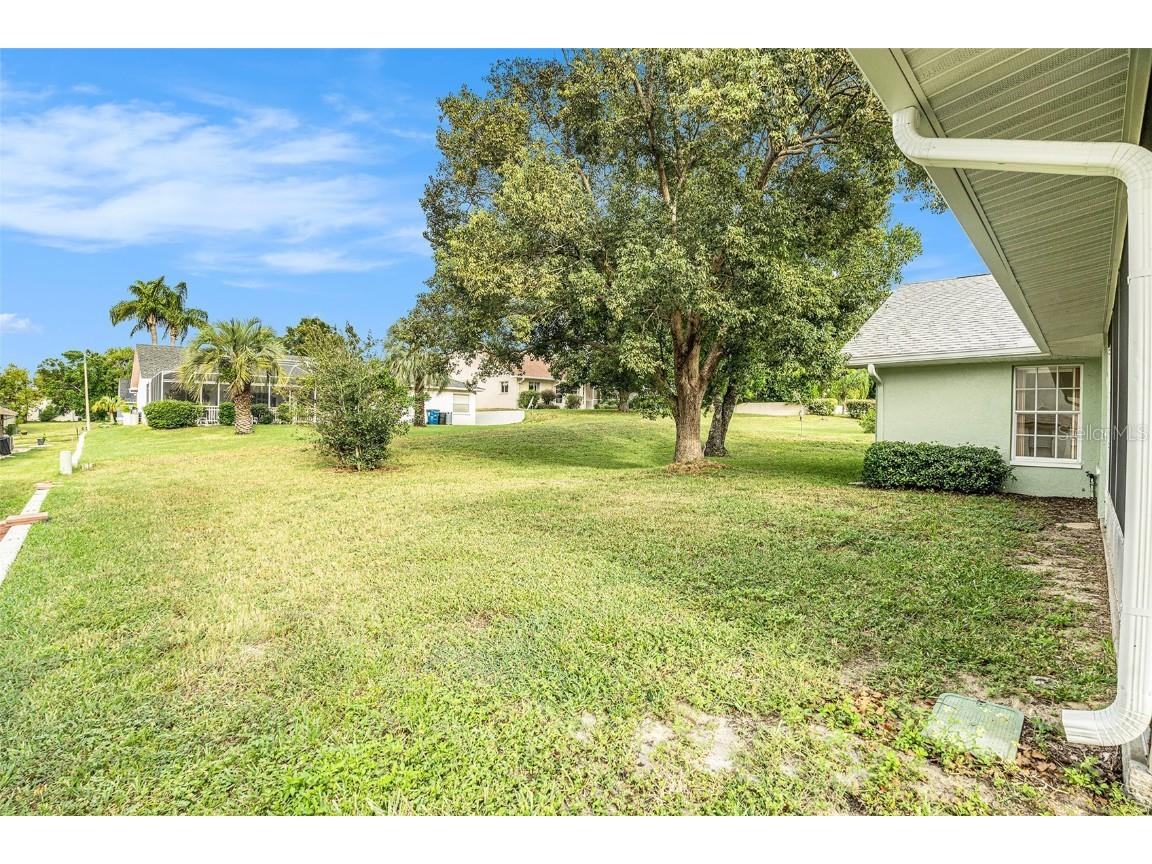 1247 Venetia Drive Spring Hill FL 34608 TB8433744 image26